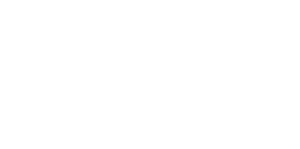 Logo Insigna